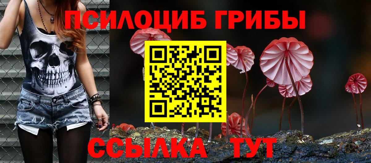 Новошахтинск  Псилоцибиновые грибы Psilocybe  Вход с VPN 